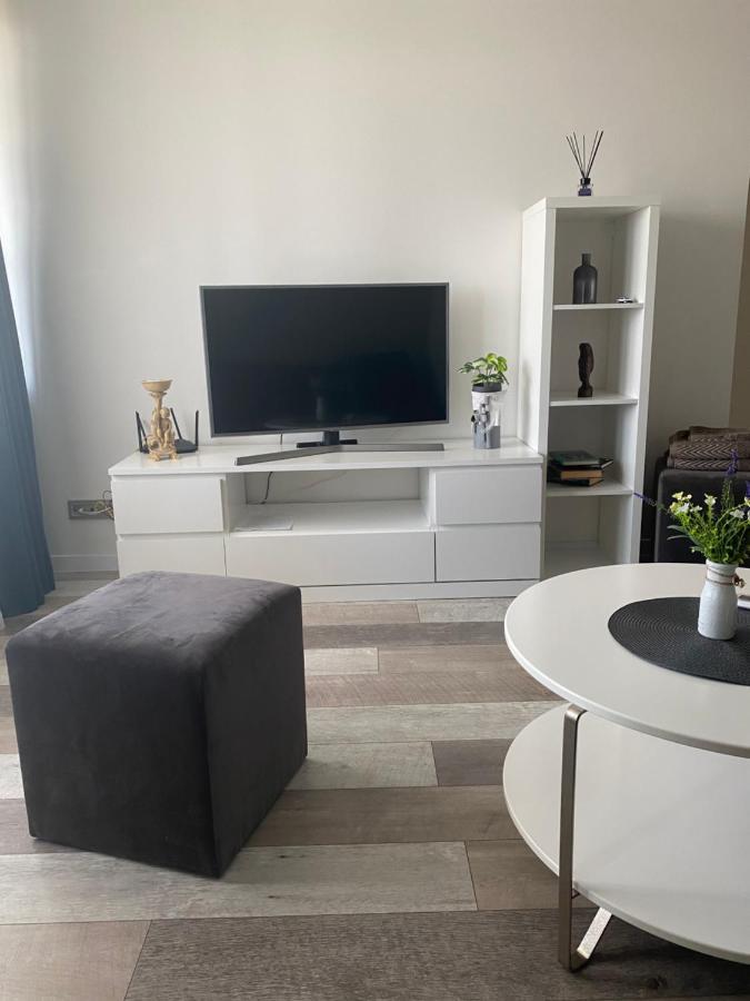 Nemuno Apartamentai Паневежис Екстер'єр фото